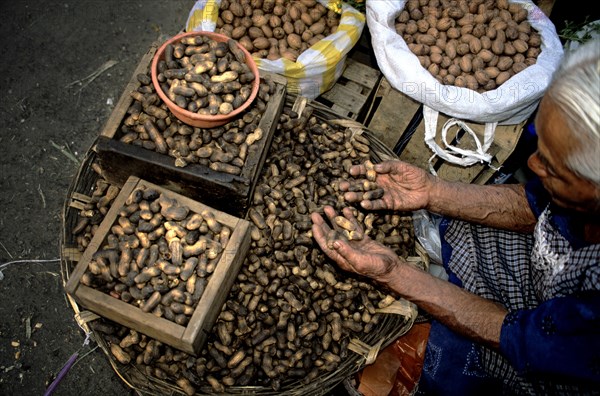 MEXICO, Oaxaca State, Oaxaca, "At the back of Oaxaca City lies a large market where it is possible to buy almost everything. It is the day before the Catholic Festival 'Semana Santa' known world-wide as Easter. In the middle of the market is an old Mexican lady who is selling her large collection of peanuts. She sits in the shade of the large tarpaulin hanging above. The nuts have dried thoroughly in the strong sun and the vendor sifts throught he nuts looking for ones that have already cracked open and are therefore not sellable. She wears a checkered grey and dark blue apron over traditional mexican dress. Her hnads are dark and worn. The nuts are a mixture of light and dark brown with some of the nuts looking quite roasted in there golden shells. The nuts lie in a random selection of wicker baskets, wooden crates, straw sacks and plastic tubs. On the right of shot sits the Mexican lady, her straight white hair glistening and indigenous and ageing face looking down over her produce. ...