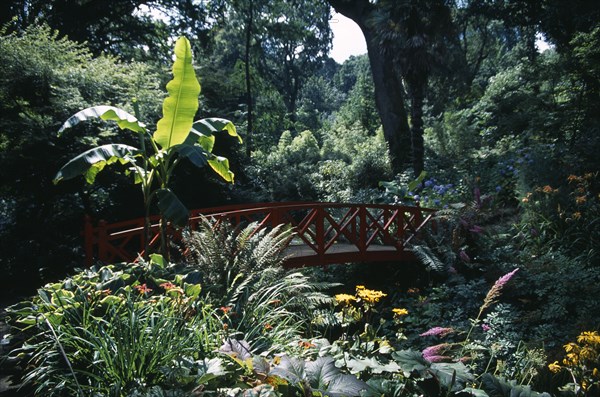 ENGLAND, Dorset, Weymouth, "Abbotsbury Sub Tropical Gardens. Red oriental bridge surrounded by exotic plants, trees and flowers"