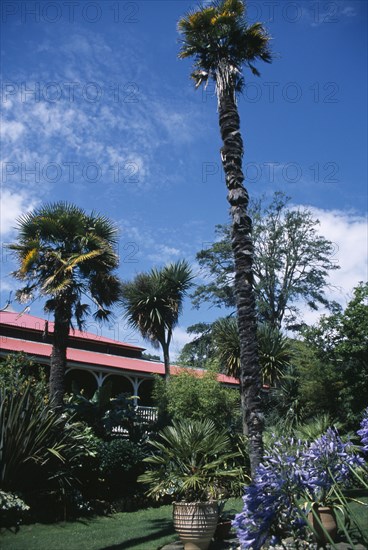 ENGLAND, Dorset, Weymouth, "Abbotsbury Sub Tropical Gardens. Colonial style teahouse behind palm trees, exotic plants and flowers."