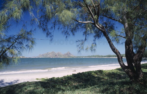 MADAGASCAR, Fort Dauphin, Lokaro, The Bay of Lokaro with view from under trees towards sandy stretch of beach and sea with mountains seen from across the water