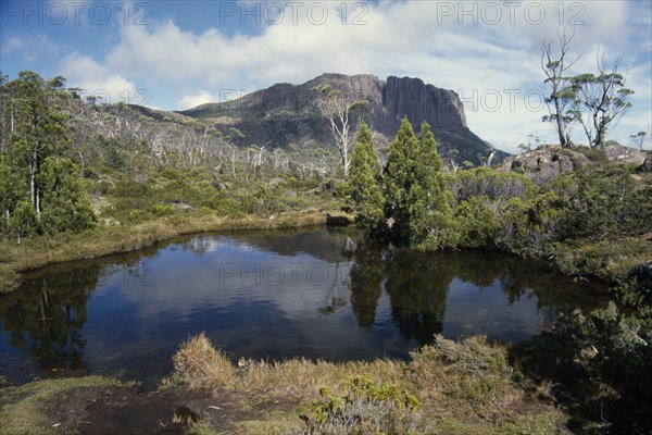 AUSTRALIA, Tasmania, Walled Mountain in The Labyrinth in Cradle Mountain Lake Saint Clair National Park