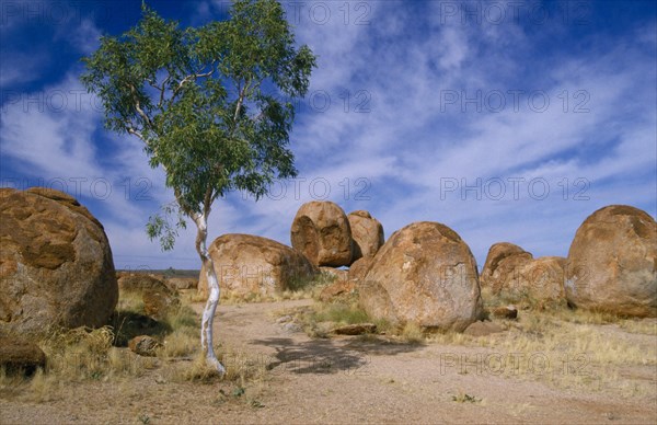 AUSTRALIA, Northern Territory, A lone tree in between The Devil’s Marbles.