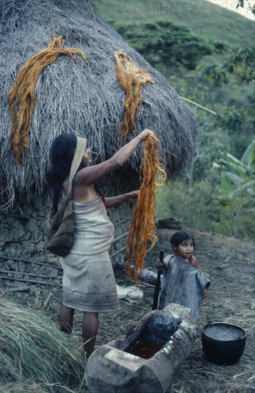 COLOMBIA, Sierra Nevada de Santa Marta, San Antonio, Mama/priest Valencia's wife rinses fique/cactus fibre in root dye in a hollowed timber trough to use for banded design on mochilas/ shoulder bags  such a mochila strung from her forehead She and baby daughter dressed in traditional woven cotton mantas/cloaks.