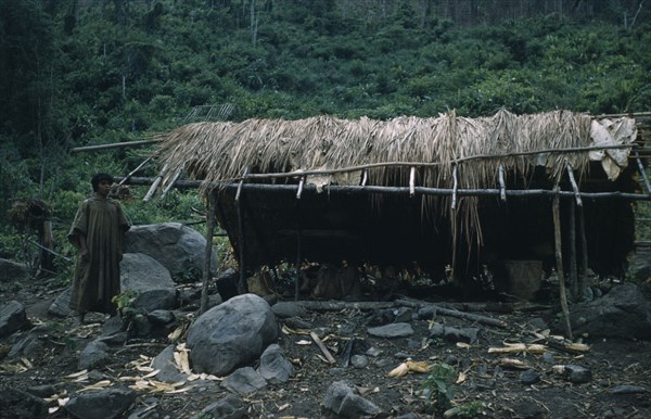 COLOMBIA, Sierra de Perija, Yuko - Motilon, "Palm thatch dwellings and shelters, boy wearing long woven cotton toga. Cultivation patch with platanos / plantains and maize plants."