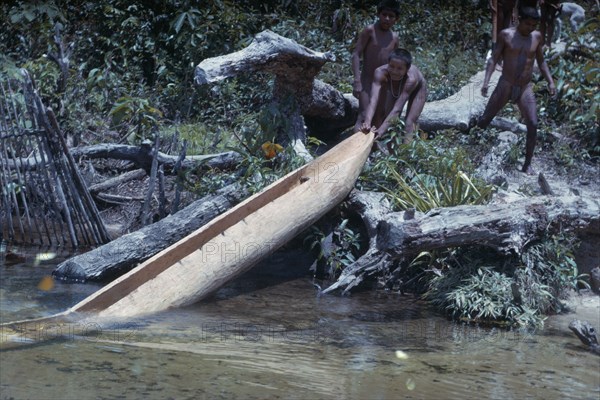 COLOMBIA, Vaupes Region, Tukano Tribe, Boys bring a newly hewn and shaped canoe out of the forest for burning process by the river.