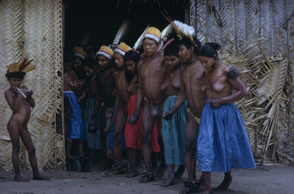 COLOMBIA, Vaupes Region, Tukano Tribe, "Men and women emerge from maloca dancing the Manioc Dance, adorned with precious feather head-dresses, some with bark-cloth aprons; women wearing new tradecloth skirts. Young boy with feather crown examines an egret bone flute"