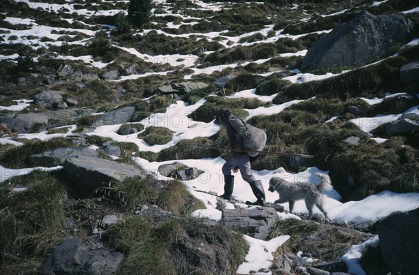 SPAIN, Pyrenees, Agriculture, Shepherd climbing mountain path in melting snow followed by dog.