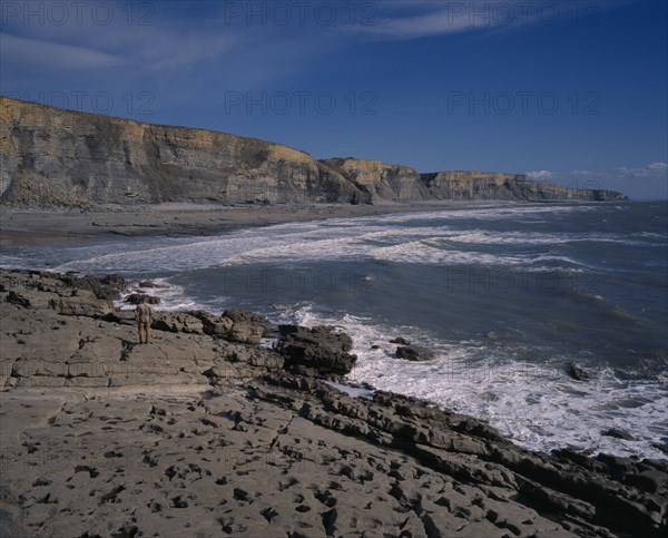 WALES, Vale of Glamorgan, Southerndown, "A man standing on the shore of the South Coast with Liassic Limestone cliffs, near Bridgend."