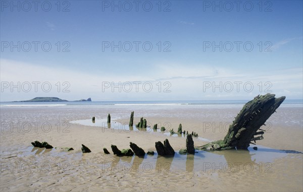 WALES, Gower Peninsula, Rhossili Bay , Helvetia 1890’s shipwreak. Oak carcass on sandy beach at low tide with Worms Head seen from across the sea in the distance
