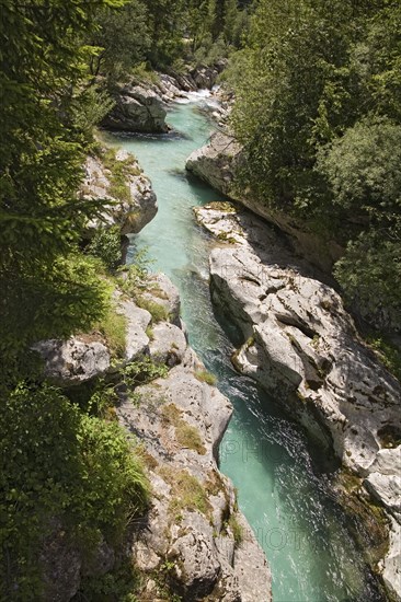 SLOVENIA , Trenta Valley, Soca River, "Viewed from Felika Korita Soce a narrow wooden suspension bridge, flowing through rocks shaped by the power of the water"