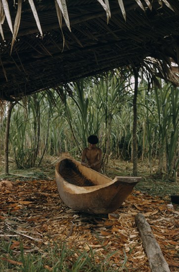 COLOMBIA, Choco Region, Noanama Tribe, "Man makes a new canoe from a single tree trunk brought down from forest to riverside shelter, thatched against sun and tropical downpours"