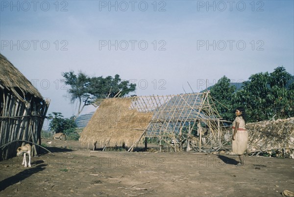 COLOMBIA, Sierra de Perija, Yuko - Motilon, Woman walks towards large dwelling house with roof under construction