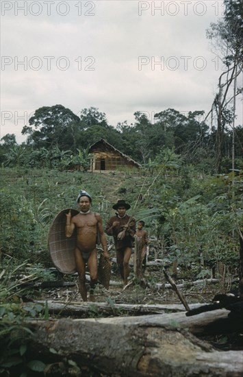 COLOMBIA, Vaupes Region, Tukano Tribe, "Headman with yucca flour basket, his brother with fishing rods, walk through yucca and banana cultivation patch with “maloca” / longhouse in background"