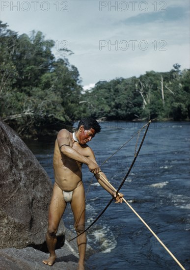 COLOMBIA, Vaupes Region, Tukano Tribe, Man fishing with “macana” wood bow and bamboo arrow in rio Piraparana