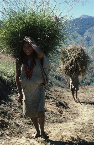COLOMBIA, Sierra Nevada de Santa Marta, San Antonio, "Mama Valencia's daughter and young son bring freshly cut bundles of hay along track to San Antonio to re-thatch their family home. Lower slopes of Sierra Nevada behind, denuded by past over-grazing. Kogi Tribe "