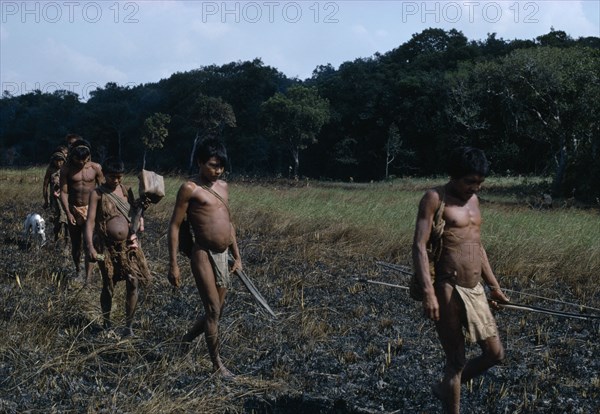 COLOMBIA, Llanos Plains, Agua Clara, Cuiva: First Contact  a family move away from their camp on rio Agua Clara  in fear of white Colombian cattle ranchers who may shoot them. They flee over recently burnt grasslands with all their worldly possessions - beaten barkcloth clothing  bows and arrows  woven cane baskets  cumare/ fibre hammocks and traded machetes. Llanos plains running East from Andes to Orinoco rio Agua Clara Indigenous Tribes Cuiva