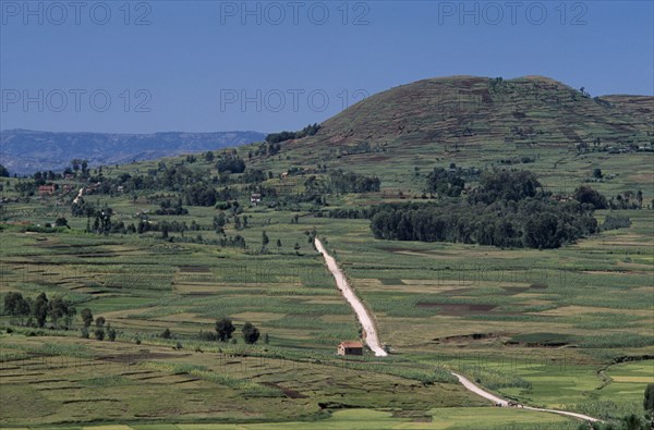 MADAGASCAR, Landscape, Near Antsirabe. Elevated view over patchwork fields with a dirt road running through the middle towards trees and hills