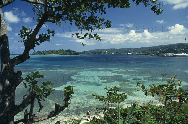 WEST INDIES, Jamaica, Port Antonio, View across turquoise sea towards beach and tree covered coast part framed by tree branches.