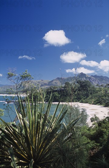 MADAGASCAR, Fort Dauphin, Libanona Beach with view across plants and vegetation towards sandy stretch of beach and sea with mountains in the distance