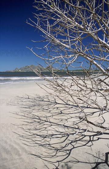 MADAGASCAR, Fort Dauphin, Lokaro, View through leafless tree branches towards sandy beach and sea with mountains in the distance