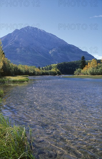 CANADA, Alberta, Landscape near Crowsnest Pass with river flanked by trees in fall colours and mountains beyond.