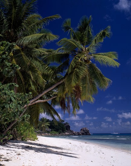 SEYCHELLES, La Digue, Anse Severe, View across sandy beach lined with overhanging palm trees towards rocks on the coastline and a yacht on turquoise sea
