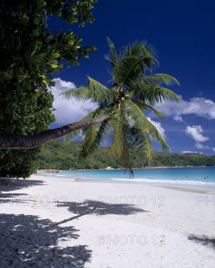 SEYCHELLES, Praslin, Anse Lazio, View across white sandy beach with an overhanging palmtree towards people bathing in the turquoise sea with the shadow of the palmtree on the sand