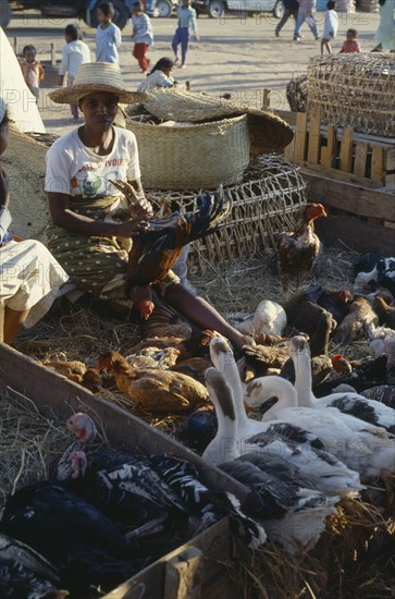 MADAGASCAR, Antanananrivo, "Zoma livestock market with a woman vendor wearing a straw hat sitting with chickens, ducks and turkeys"