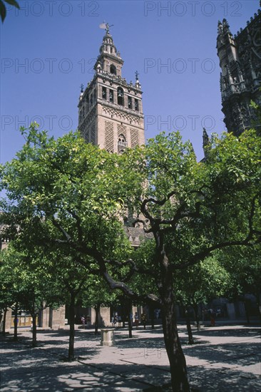 SPAIN, Andalucia, Seville, La Giralda Cathedral minaret seen from Patio De Los Naranjos in the Cathedral grounds