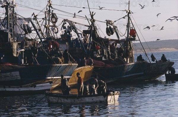 20077618 MOROCCO  Essaouira Fishing boats and seagulls in port.