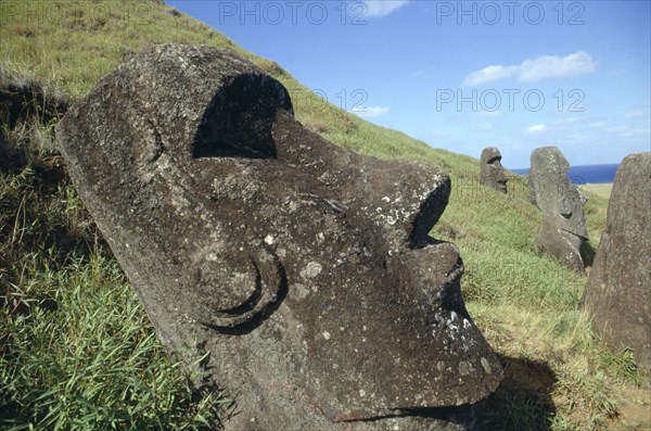 PACIFIC ISLANDS, Easter Island, Rano Raraku Crater. Moai Statues abandonned in transit on the slopes of crater