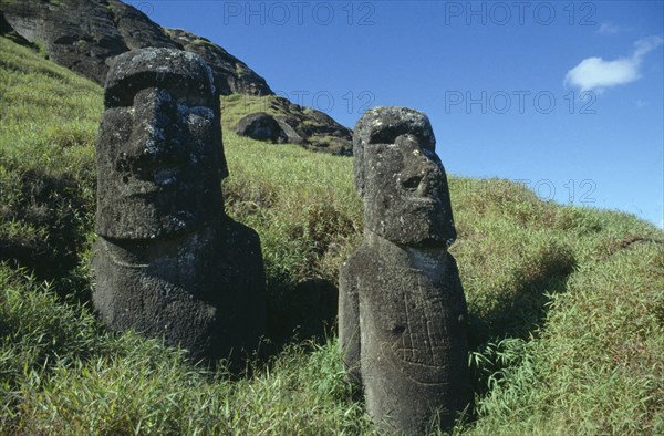 PACIFIC ISLANDS, Easter Island, Rano Raraku Crater. Moai Statues abandonned in transit on the slopes of crater