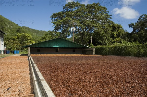 VENEZUELA, Rio de Caribe, Cacao drying facility with moveable roof in background.