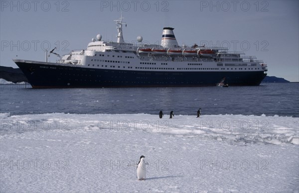 ANTARCTICA, Ross Sea, Ross Island, Cape Royds. Tourist ship called Marco Polo on water with Adelie Penguins on the ice in the foreground