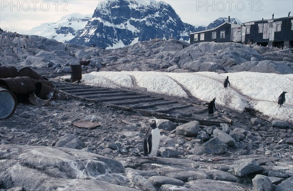 ANTARCTICA, Peninsula Region,  Goudier Island, Port Lockroy. British Base abandoned in 1964 with penguins in the foreground