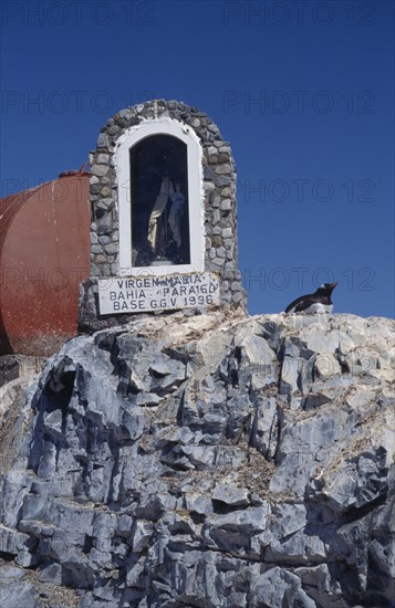 ANTARCTICA, Peninsula Region, Chilean Base Gonzalez Videla. Gentoo Penguin nesting next to a statue of the Virgin Mary