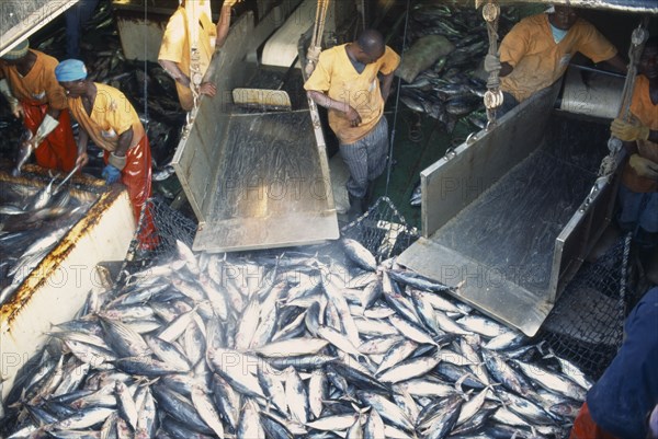 IVORY COAST, Abidjan, Unloading tuna from fishing boat in Abidjan port.