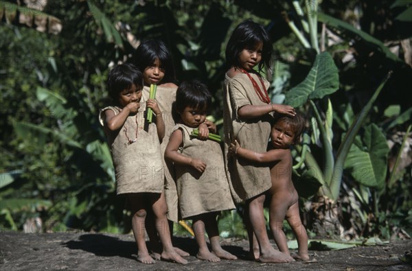 COLUMBIA, Kogi , Kogi Indian children affectionately holding on to each other carrying sticks of green cane with vegetation behind them