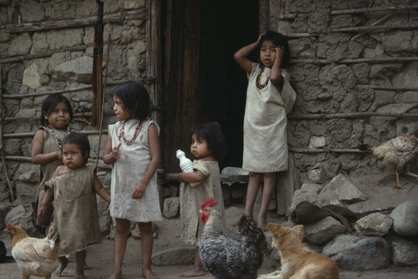 COLUMBIA, Kogi , Young Kogi Indian children standing together at a doorway to a building with chickens and a small dog nearby