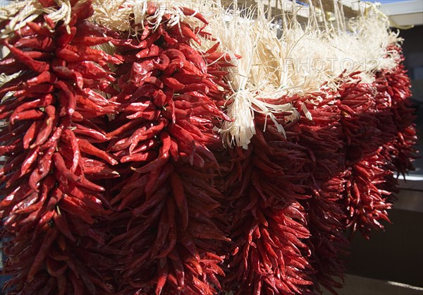 USA, New Mexico, Santa Fe, Dried chillies hanging up in the back of a pickup truck ready for market