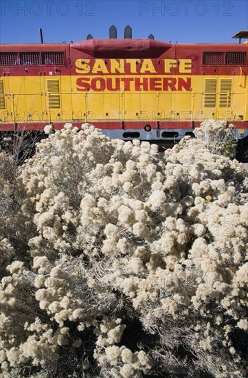 USA, New Mexico, Santa Fe, Old Santa Fe Southern railway engine