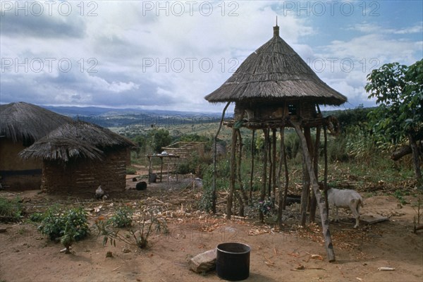 MALAWI, Lumbe, EDETA village income generation group.  Circular thatched chicken house raised on stilts in village.