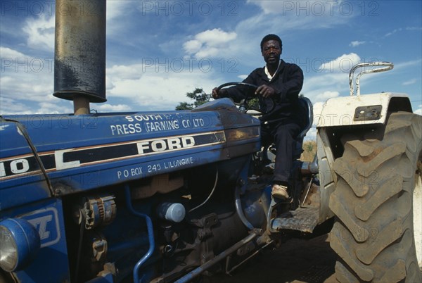 MALAWI, Farming, Tractor driver working in tobacco plantation.