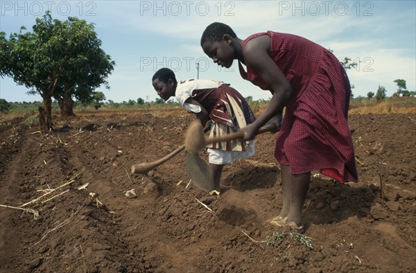 MALAWI, Farming, Girls working in fields near Lilongwe.  The soil is very dry due to the lateness of the rains