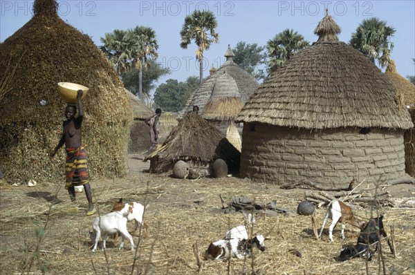 CHAD, Traditional Housing, Village huts with straw roofs and a woman carrying a bowl on her head amongst livestock