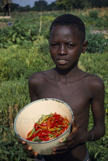 GAMBIA, Agriculture, Boy holding bowl of chillies