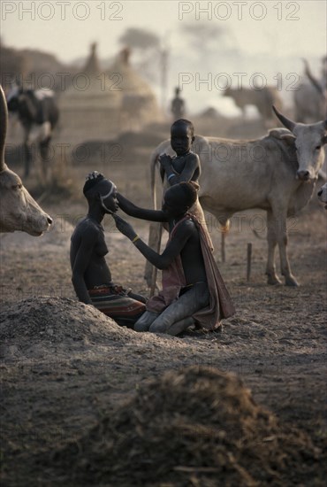 SUDAN, Tribal People, Dinka girls applying facial decoration for wedding celebrations watched by young child and cattle in camp.