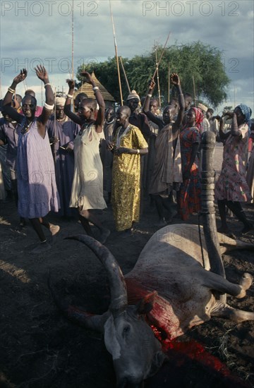 SUDAN, Tribal People, Dinka tribespeople dancing with arms raised to simulate cow ( women ) or bull ( men ) after sacrifice.