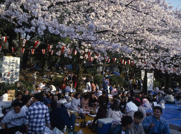 JAPAN, Honshu, Tokyo, Ueno Park. Cherry Blossom viewing parties with people sat under trees and lanterns.