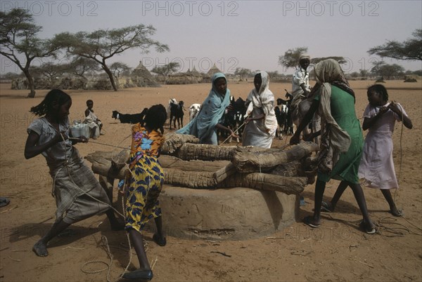 SUDAN, Kordofan, North, Women and children drawing water from well with goat herd in barren landscape and village compound beyond.